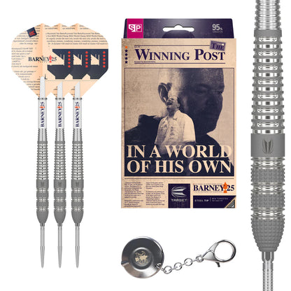 Raymond Van Barneveld RVB 25 (23g) - Grade A+