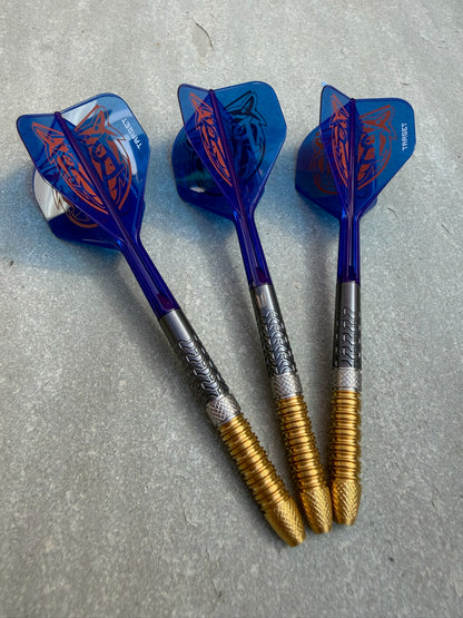 Raymond van Barneveld Gen 6 (23g) - Grade A+